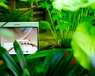 Il OnePlus 4 è un ottimo tablet, ma il suo periodo di assistenza non è ideale.