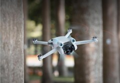 Il Mini 3 Pro potrebbe presto essere affiancato da un drone più economico, anch&#039;esso venduto con la serie Mini 3. (Fonte: DJI)