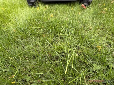 L'Airseekers Tron lascia tagli d'erba più lunghi nel test...