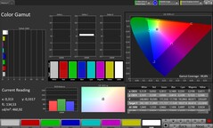 Spazio colore CalMAN – Display per esterni