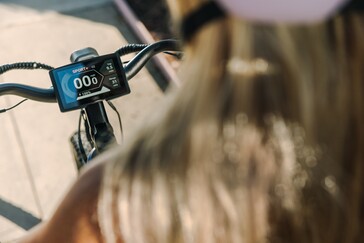 L'e-bike Tenways Wayfarer ha un display LCD da 4,3 pollici (fonte: Tenways)