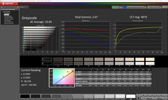 Scala di grigi (calibrata)