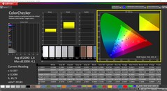 CalMAN ColorChecker calibrato