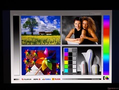 Ampi angoli di visione OLED