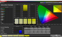 CalMAN Saturation Sweeps (gamma di colore target sRGB)