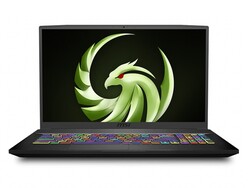 MSI Bravo 17 A4DDR. Dispositivo di prova fornito da MSI Germany.