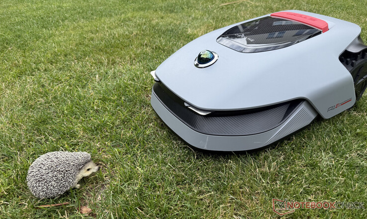 Dreame A1 Pro non ha sempre riconosciuto il manichino riccio nel test