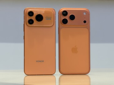 Le somiglianze predominano sul retro.