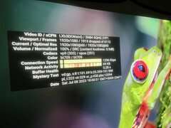 Lo streaming non è realmente praticabile sull'OmniStar L80. Lo streaming del video della Costa Rica a 1080p60 ha comportato la perdita di quasi un terzo dei fotogrammi, causando una balbuzie inguardabile.