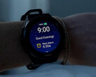 Il Forerunner 570 e il Forerunner 970 hanno ricevuto lo stesso aggiornamento beta simultaneamente, nell'ultima immagine. (Fonte: Garmin)