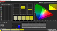 CalMAN Saturation Sweeps (spazio colore target sRGB)