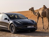 La Tesla Model 3 Long Range AWD è di nuovo ordinabile. (Fonte: Tesla)
