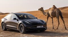 La Tesla Model 3 Long Range AWD è di nuovo ordinabile. (Fonte: Tesla)