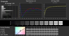 CalMAN: scala di grigi (calibrato)