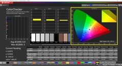 CalMAN ColorChecker (profilo: calibrato, spazio colore di destinazione: P3)