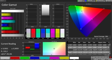 CalMAN: Spazio colore - Ampio profilo di gamma cromatica, spazio colore target DCI P3
