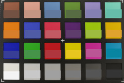 ColorChecker Passport: La parte inferiore di ogni casella mostra il colore di riferimento