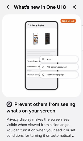La funzione di visualizzazione della privacy di One UI 8.5 può rendere più difficile per gli estranei individuare i dati privati sul suo telefono