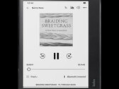 Il Kobo Elipsa 2E viene venduto a quasi 400 dollari (fonte: Rakuten Kobo)