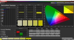 CalMAN - Saturazione calibrato