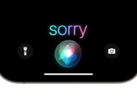 Apple ha accettato di risolvere la causa, ma non ha ammesso alcun illecito.