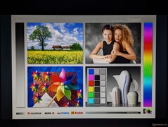 Ampi angoli di visione IPS