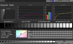 Scala di grigi CalMAN