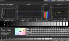 Scala di grigi (modalità colore: Professionale, spazio colore di destinazione: sRGB)
