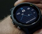 La Beta 15.09 di Garmin è ora disponibile per lo smartwatch Forerunner 255 Music. (Fonte: Garmin)