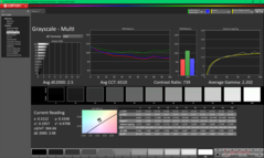 Scala di grigi dopo la calibrazione