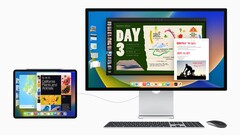 Craig Federighi sostiene che Stage Manager richiede troppe risorse per i chipset dell'iPad diversi da Apple M1. (Fonte: Apple)