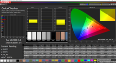 CalMAN ColorChecker calibrato