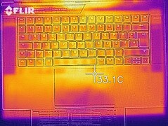 Distribuzione del calore a riposo (lato superiore)