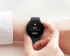 Samsung ha annunciato un'altra nuova funzione per One UI 5 Watch. (Fonte: Samsung)