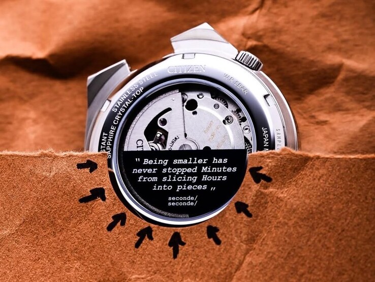 Fondello da esposizione