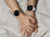 Secondo quanto riferito, Google sta sviluppando due dimensioni di Pixel Watch 3 (Fonte: Google)