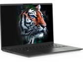 L'opzione del display 3K è basata sulla tecnologia LTPS LCD che di solito si vede sugli smartphone. (Fonte: Tuxedo)