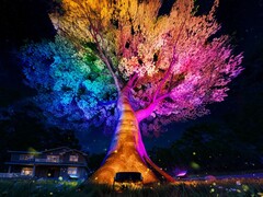 Le luci per alberi da esterno di Govee (nella foto) saranno lanciate nel settembre 2025. (Fonte: Govee)