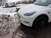 Il sistema di assistenza al parcheggio ad alta fedeltà non è disponibile per tutte le Tesla (immagine: Tech &amp; Tesla Sweden/YouTube)