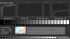 CalMAN: Scala di grigi (calibrata)