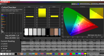 CalMAN: ColorChecker – calibrato