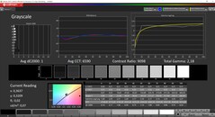 CalMAN Scala di grigi calibrata (spazio colore target P3)