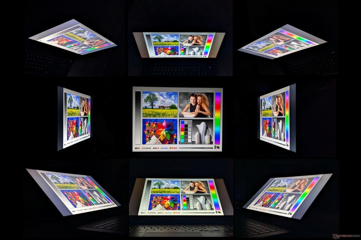 Ampi angoli di visione IPS