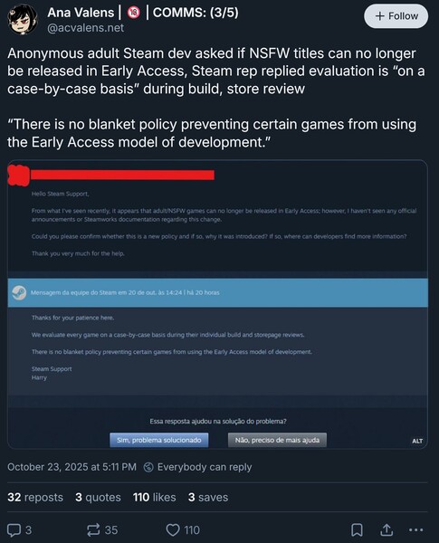 Risposta di Steam alla richiesta di accesso anticipato al gioco per adulti (screenshot, account Ana Valens Bluesky)