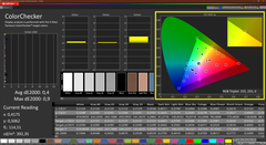 Calman ColorChecker calibrato