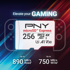 Schede flash PNY microSD Express (Fonte: PNY PR)