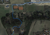 GPS Test: sezione foresta