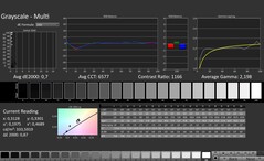 CalMAN: scala di grigi (calibrata)