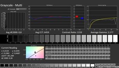 CalMAN: scala di grigi (calibrata)