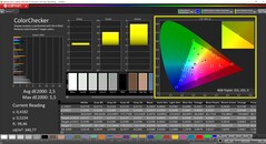 CalMAN ColorChecker calibrato